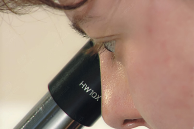 L'observation des préparations microscopiques - bases